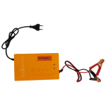 30A Intelligent Pulse Charger 12V