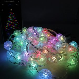 LED Pineapple Decorative String Light With App And Remote Control 5M SE-L005