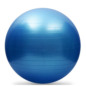 55CM Exercise Ball