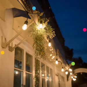 Solar Festoon Party String Lights 20MT